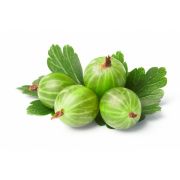 С/М Крыжовник 10кг
