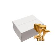 С/М Грибы Лисички 5кг