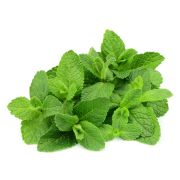 Свеж Мята кг