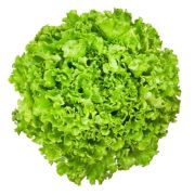 Свеж Салат Фриллис шт